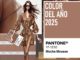 El color del año 2025 - Pantone Mocha Mousse